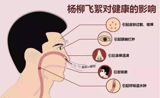 柳絮過敏讓你鼻子發(fā)癢，空氣堡新風(fēng)系統(tǒng)讓你舒爽